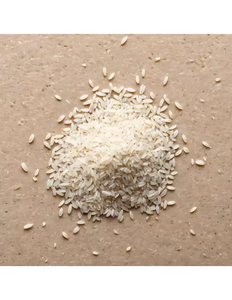 VOLUMIZE SHAMPOOING 250ML