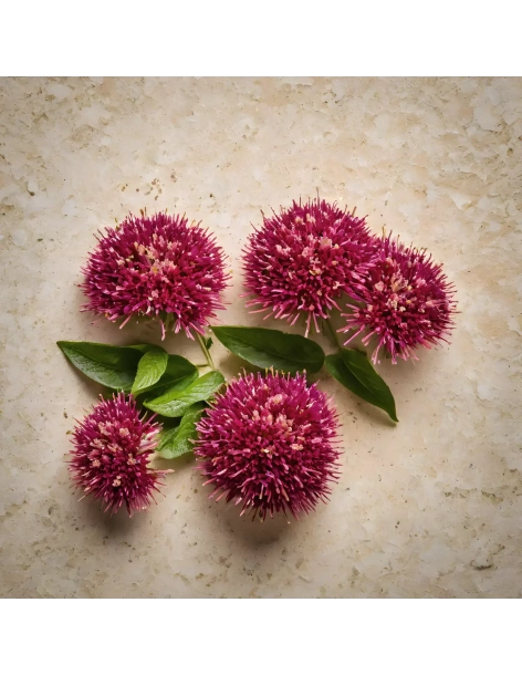 Lazartigue Volumize Spray Vegan 100mL 2