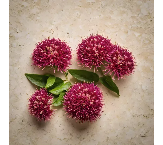 Lazartigue Volumize Vegan Spray 100mL