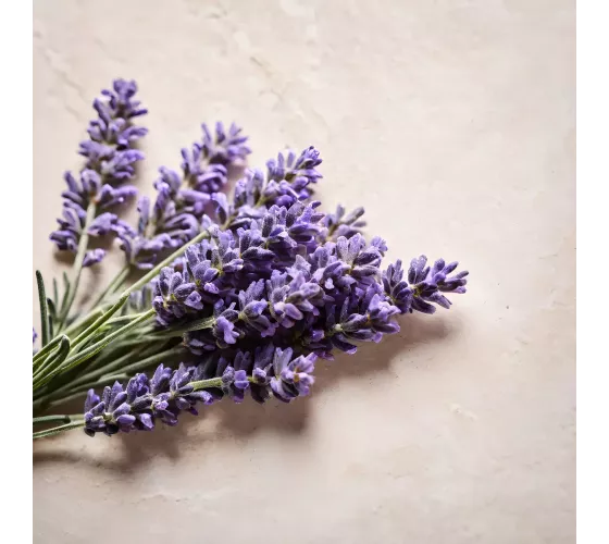 Lazartigue Neutralize Care 150mL