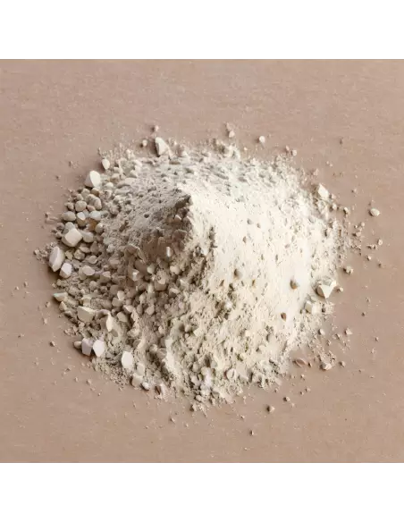 PURIFY SHAMPOOING 250ML