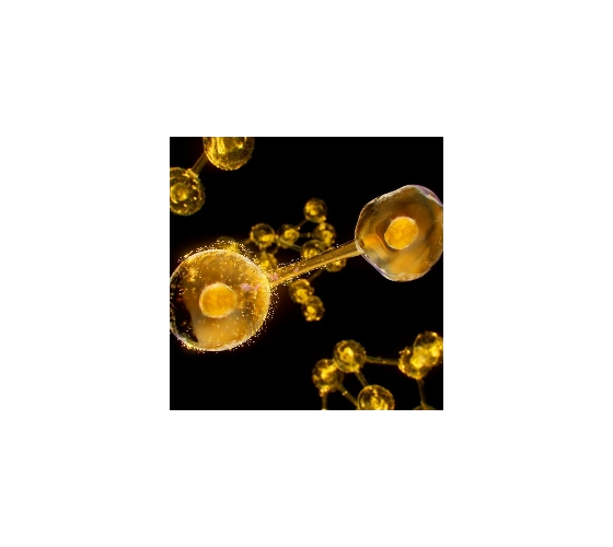 Institut Esthederm Excellage Creme Tiegel 50 ml