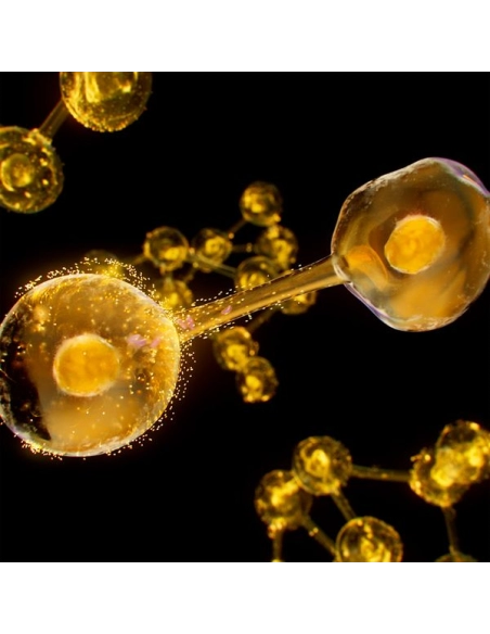 Institut Esthederm Excellage refill cream